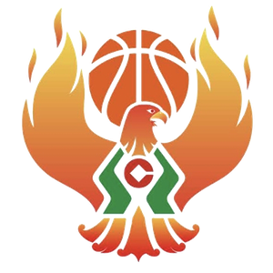 https://img.spxfqc.com/img/basketball/team/09b49d34027e0409a4de3295f8c71a2d.png