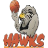 https://img.spxfqc.com/img/basketball/team/4ad56c57b7214942a503892b9f111d6e.png