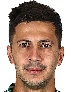 https://img.spxfqc.com/img/football/player/a7521cae3d55835286cc258209d1ffee.png