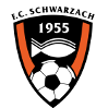 https://img.spxfqc.com/img/football/team/488370880779534e48b5b2d5243fb6f6.png