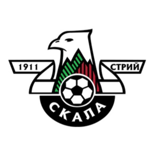 https://img.spxfqc.com/img/football/team/62a441d9a1d65105384038616bde930e.png