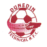 https://img.spxfqc.com/img/football/team/94cfab0be8aab0fc0466a24c4984df42.png