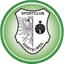 https://img.spxfqc.com/img/football/team/a2072b17150d002989078355e602e5b8.png