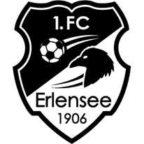 https://img.spxfqc.com/img/football/team/a23904e7205f9324e45c7fef24a620fd.png